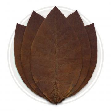 Ecuadorian Habano Ligero Cigar Wrapper Whole Tobacco Leaf